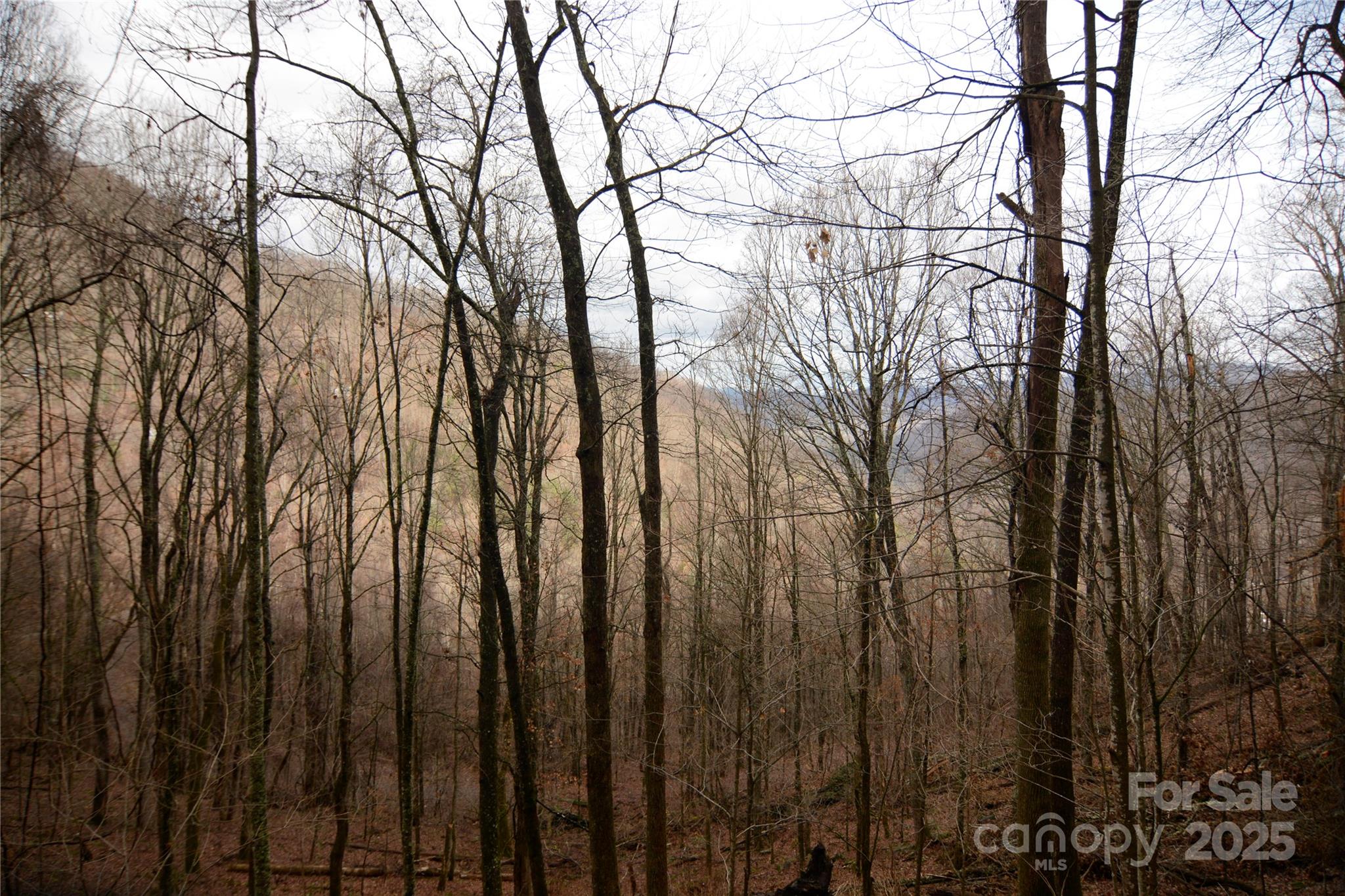 000 Jacks Knob Road