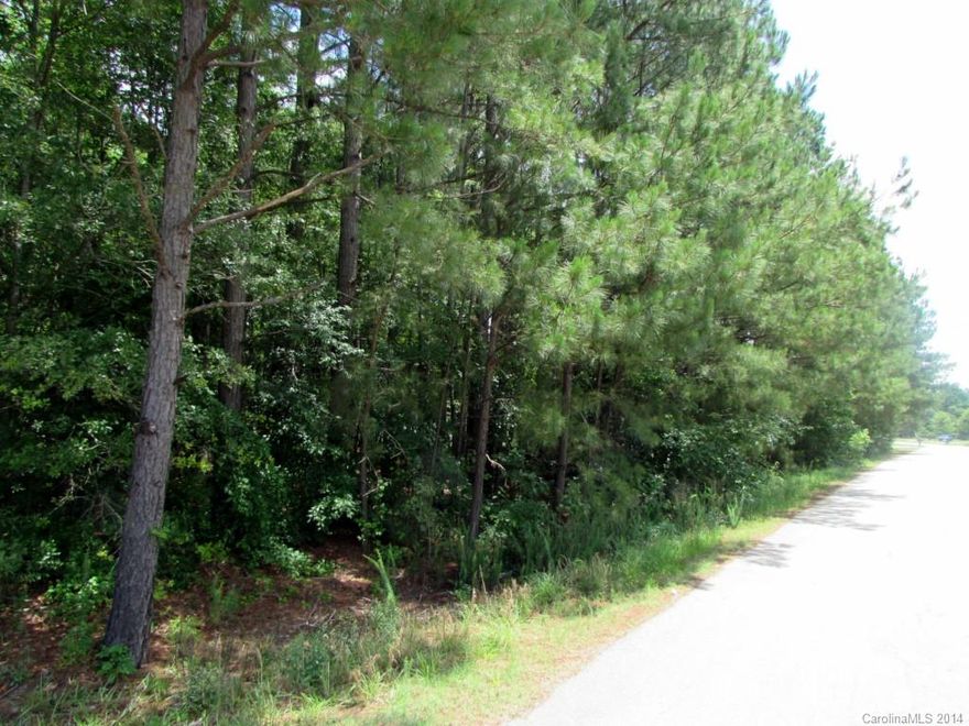 Great level building lot ready for your dream home. One plus acre wooded lot approved for mobile/modular home. Well and septic at buyers expense.