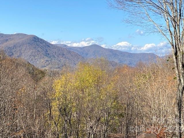 Smoky Mountain Retreat at Eagles Nest - Residential