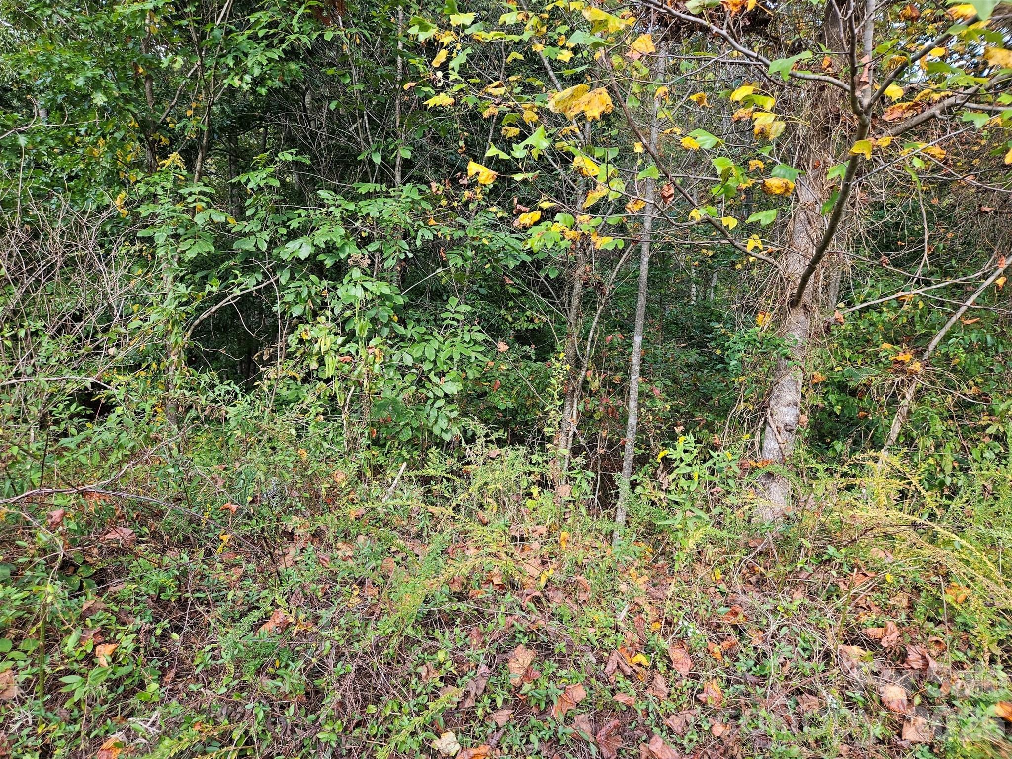 0 Hickory Loop Road Lot 36