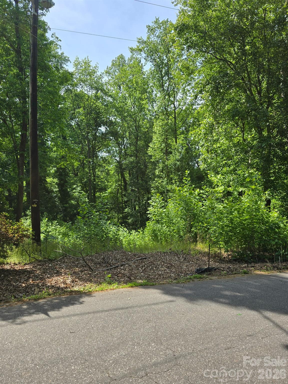 212 Montgomery Drive