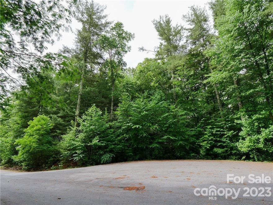 Lot in the premier gated subdivision, Build your dream home on this wooded and gently sloping home site set off of a quiet cut-de-sac. The blooming community of Old Orchard is peaceful and tranquil and offers residents private access to a pool, clubhouse, creek and picnic areas. Easily accessible from Hendersonville, Lake Lure and Chimney Rock, and just minutes to I-26. 4 Bedroom Septic Permit on file from 2007