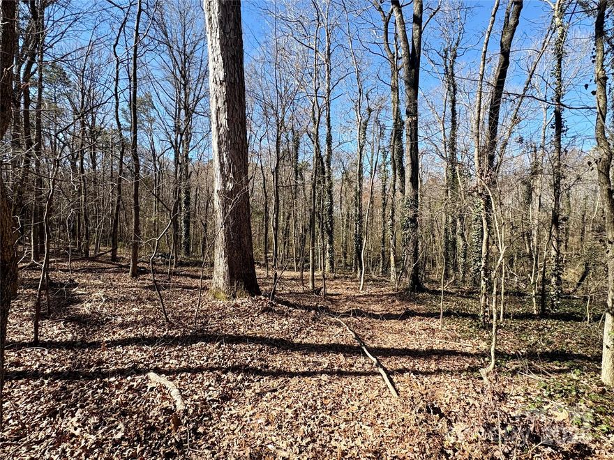 10 gorgeous, wooded acres in beautiful Union County! Sought after area with stunning new homes in vicinity. Build your private estate, mini farm, or simply invest in land for future returns. Soil evaluation with available reporting and open pits. Current survey has not been recorded. More land is available for purchase if interested. Buyer will need to work with soil scientist to acquire desired perk based on intended use and number of bedrooms needed. Call for more details. 10 acres will be surveyed and a portion of listed parcel. Request preliminary survey. Proposed Lot 6.