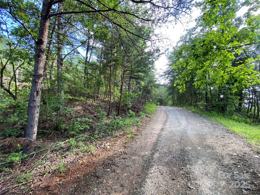 Tucked away inside the prestigious New Forest Mountain Subdivision sits this beautiful 5+/- acre lot waiting for your vision. Enter through the gated entrance as you make your way to this secluded property, you’ll pass by a peaceful waterfall and cross over multiple mountain creeks—setting the tone for the mountain lifestyle that awaits.  With stunning mountain views and the privacy you’ve been searching for, this property is the perfect canvas for your dream home or getaway retreat.