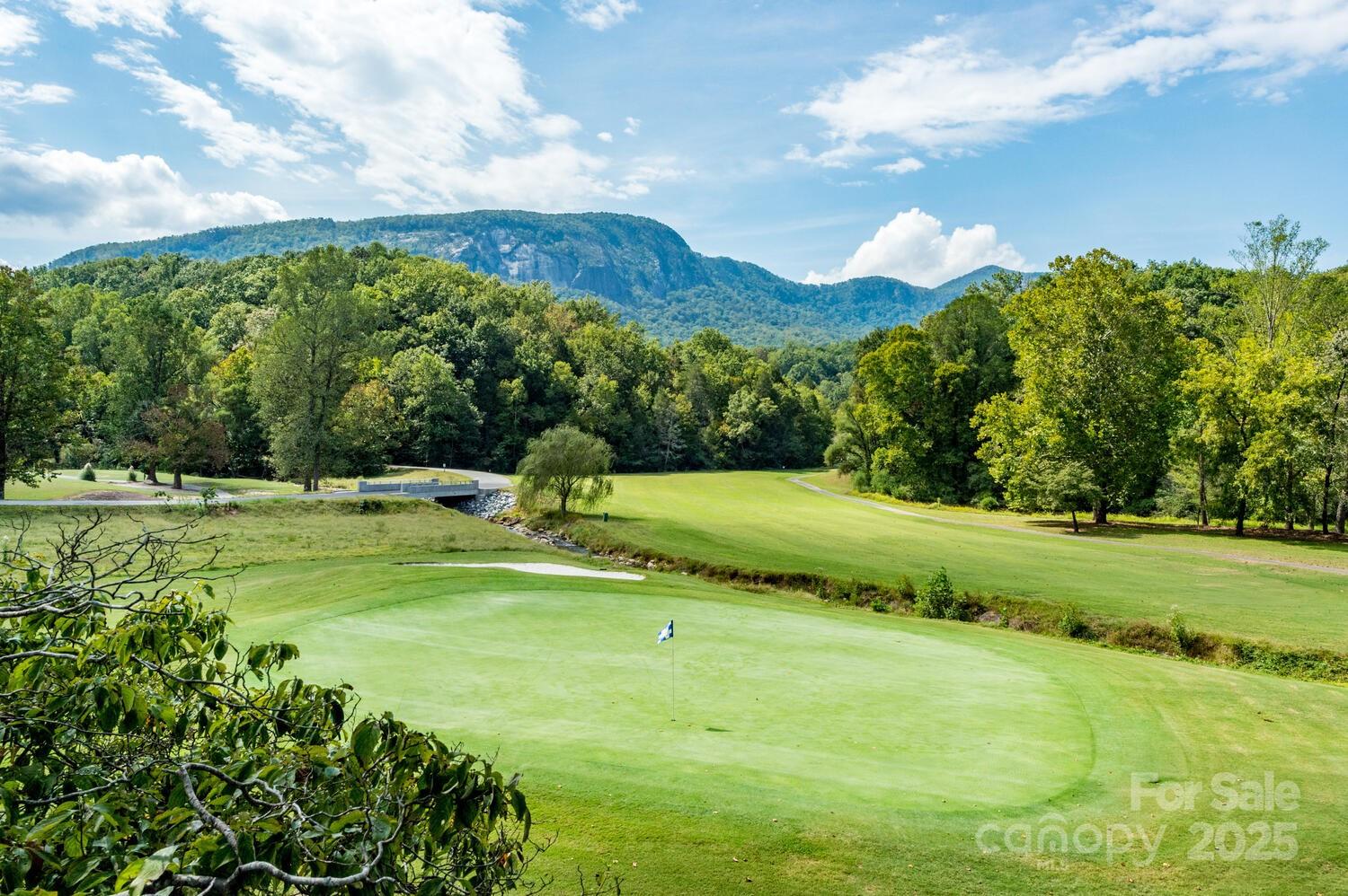 Rumbling Bald on Lake Lure - Residential