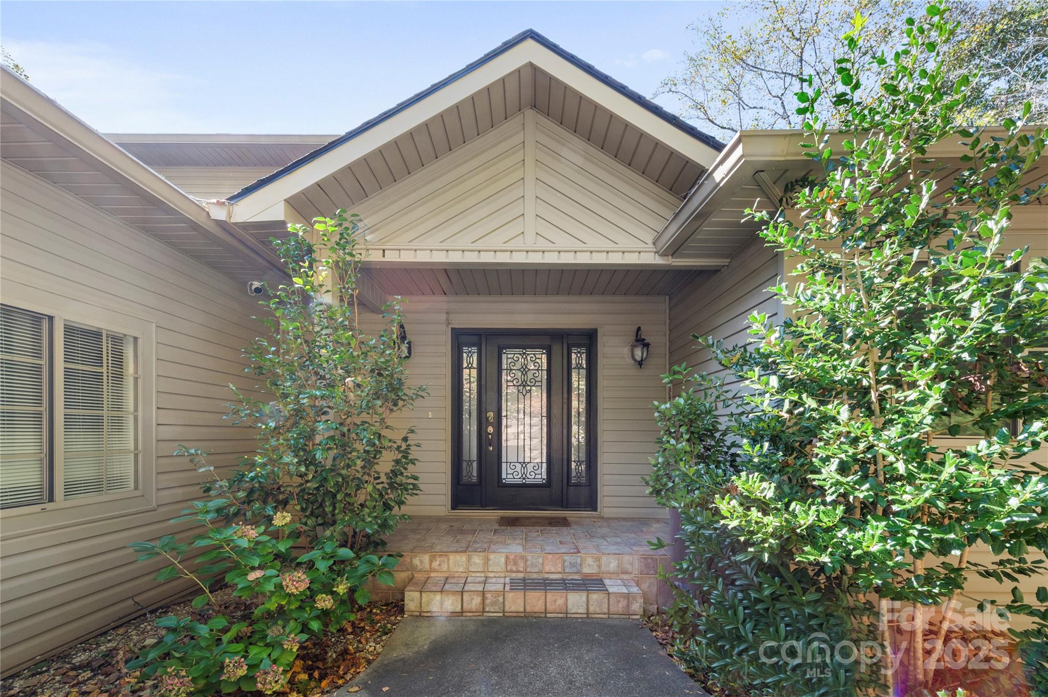 Rumbling Bald on Lake Lure - Residential