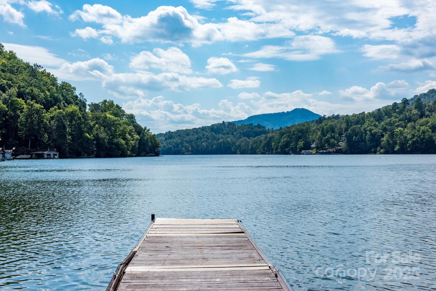 Rumbling Bald on Lake Lure - Residential