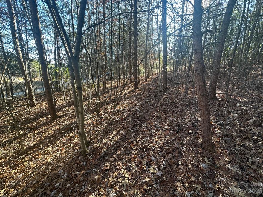 LAKE LURE----Light Restrictions on this 1.35 ACRE, WOODED LOT LOCATED IN THE VINEYARDS AT LAKE LURE.  Offered at $35,000!