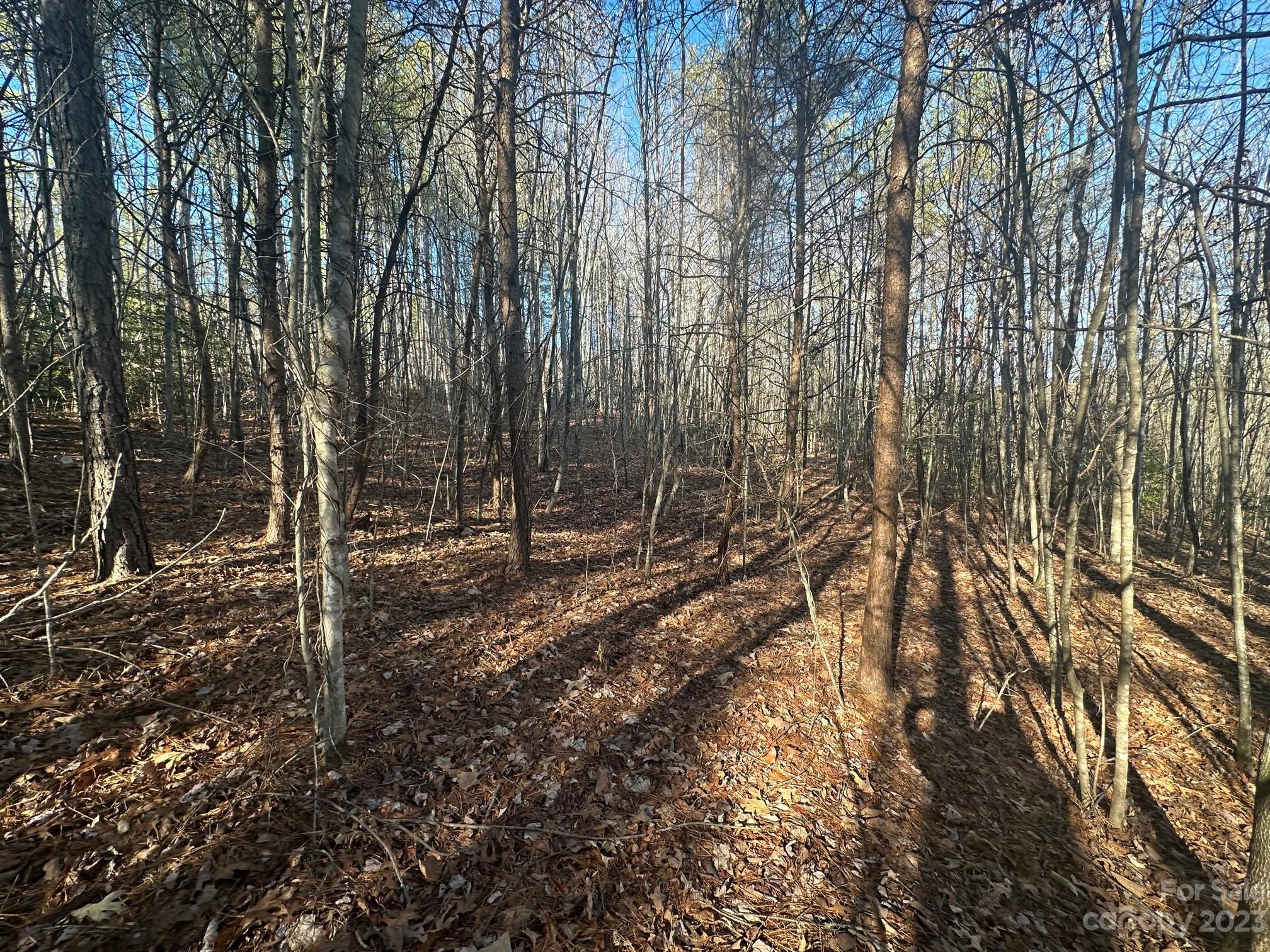 The Vineyards of Lake Lure - Land