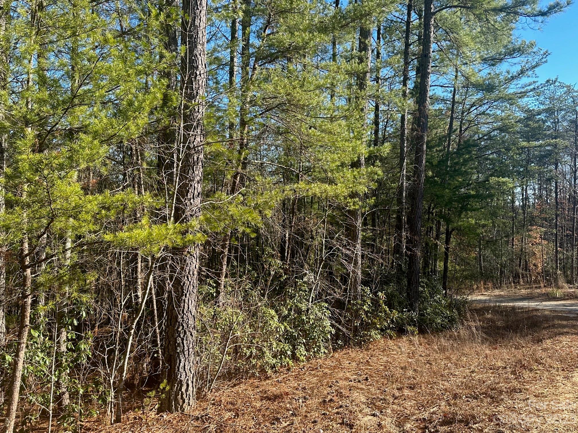 The Vineyards of Lake Lure - Land