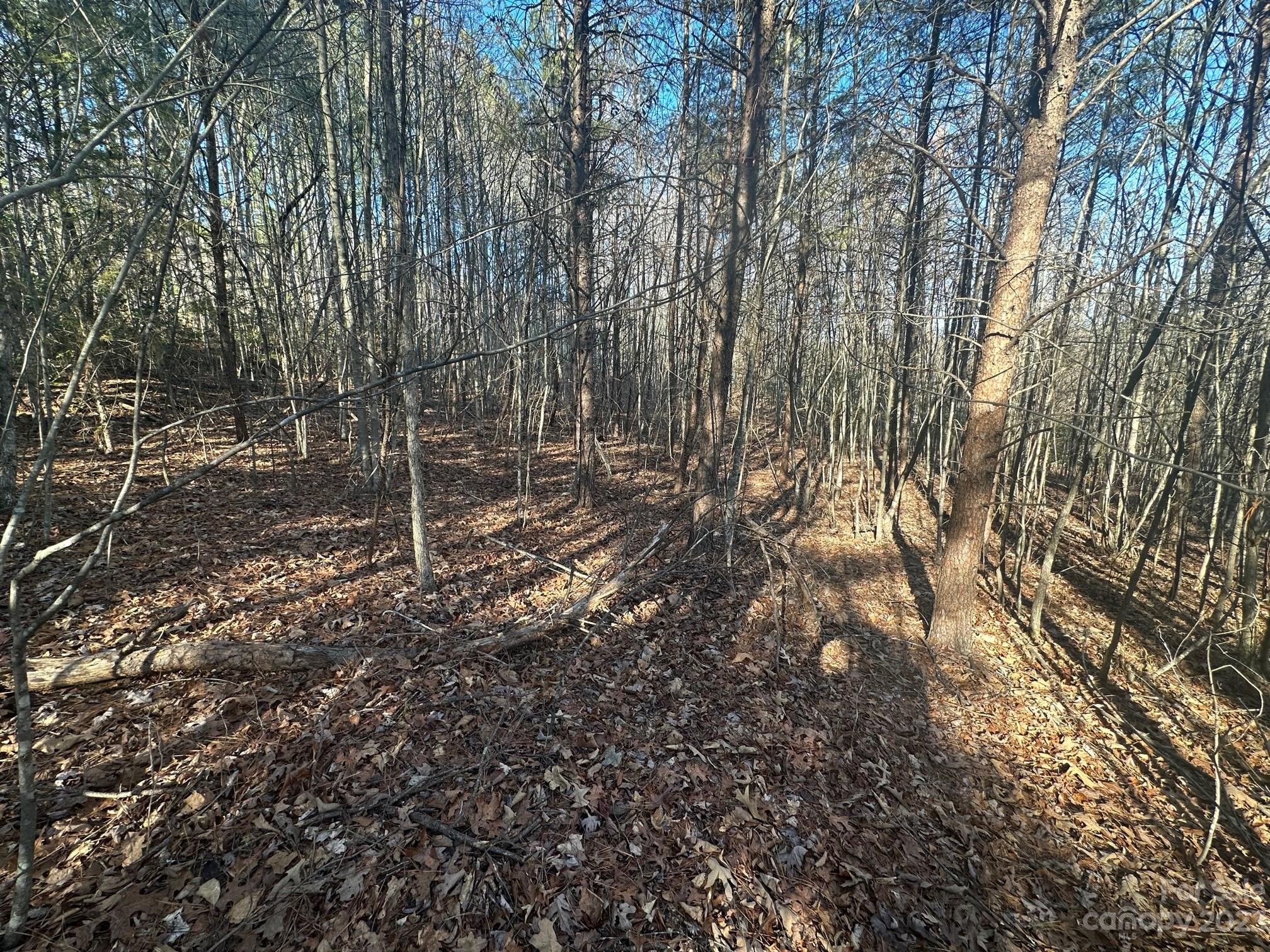 The Vineyards of Lake Lure - Land