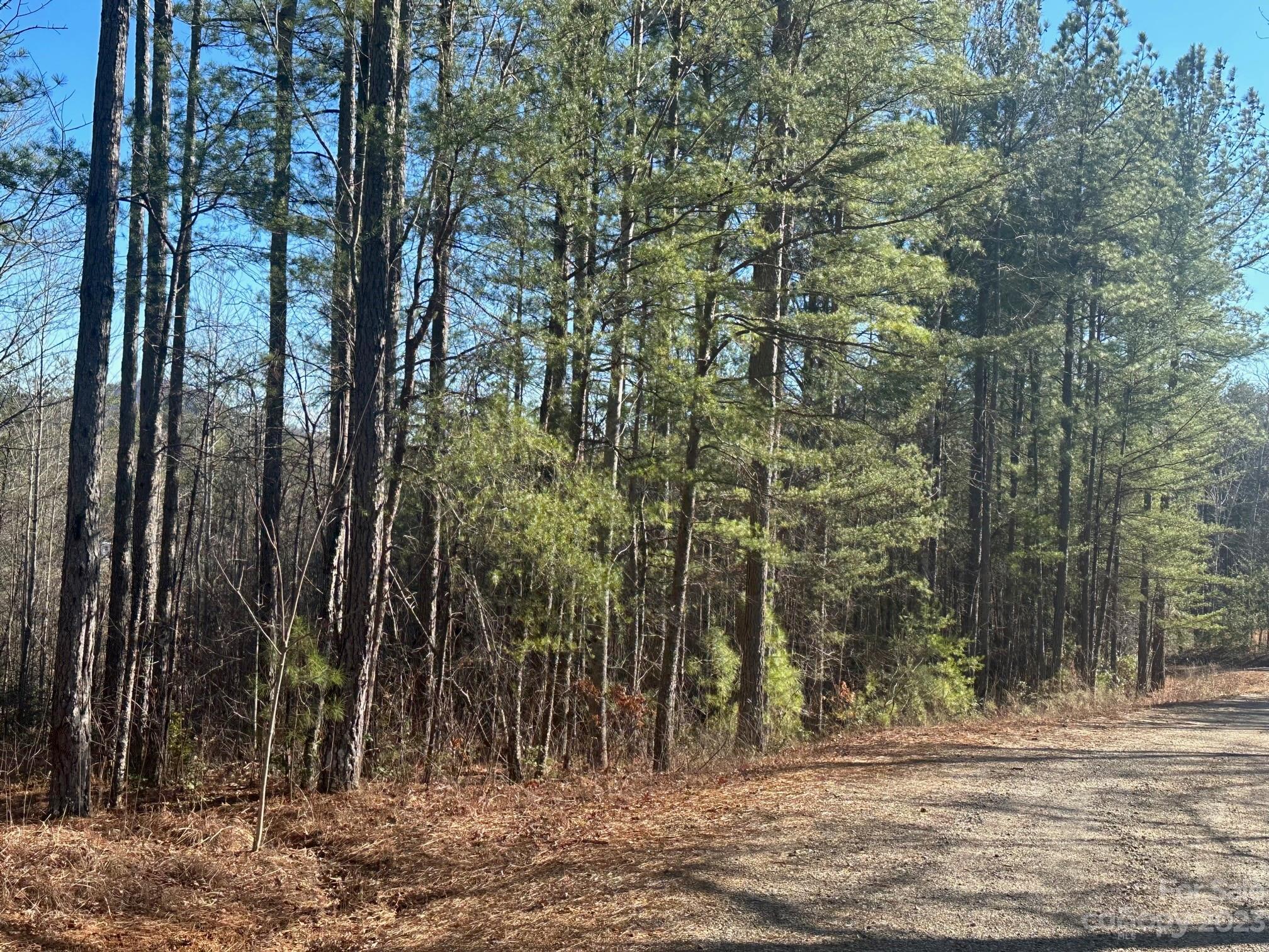 The Vineyards of Lake Lure - Land