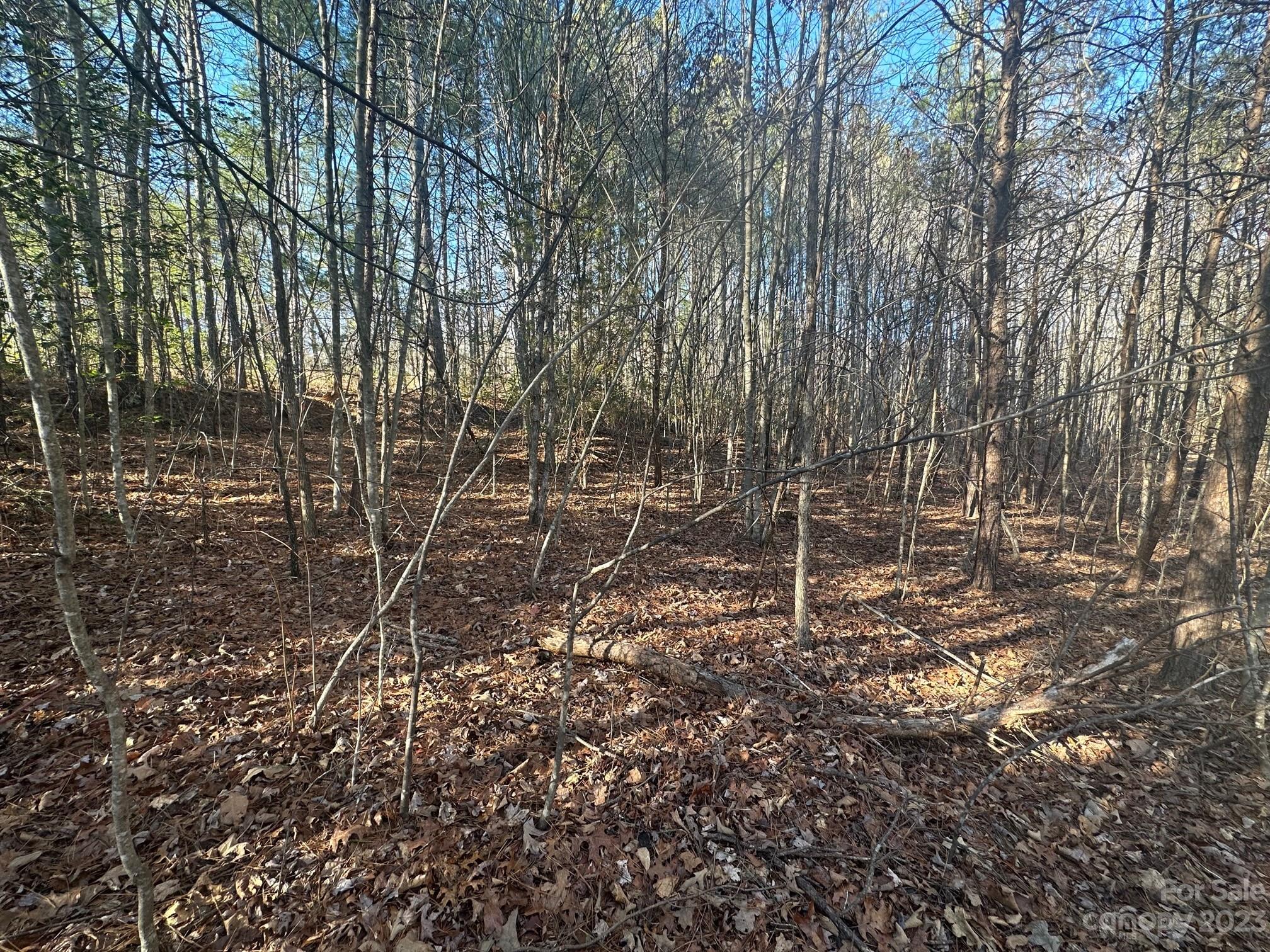 The Vineyards of Lake Lure - Land