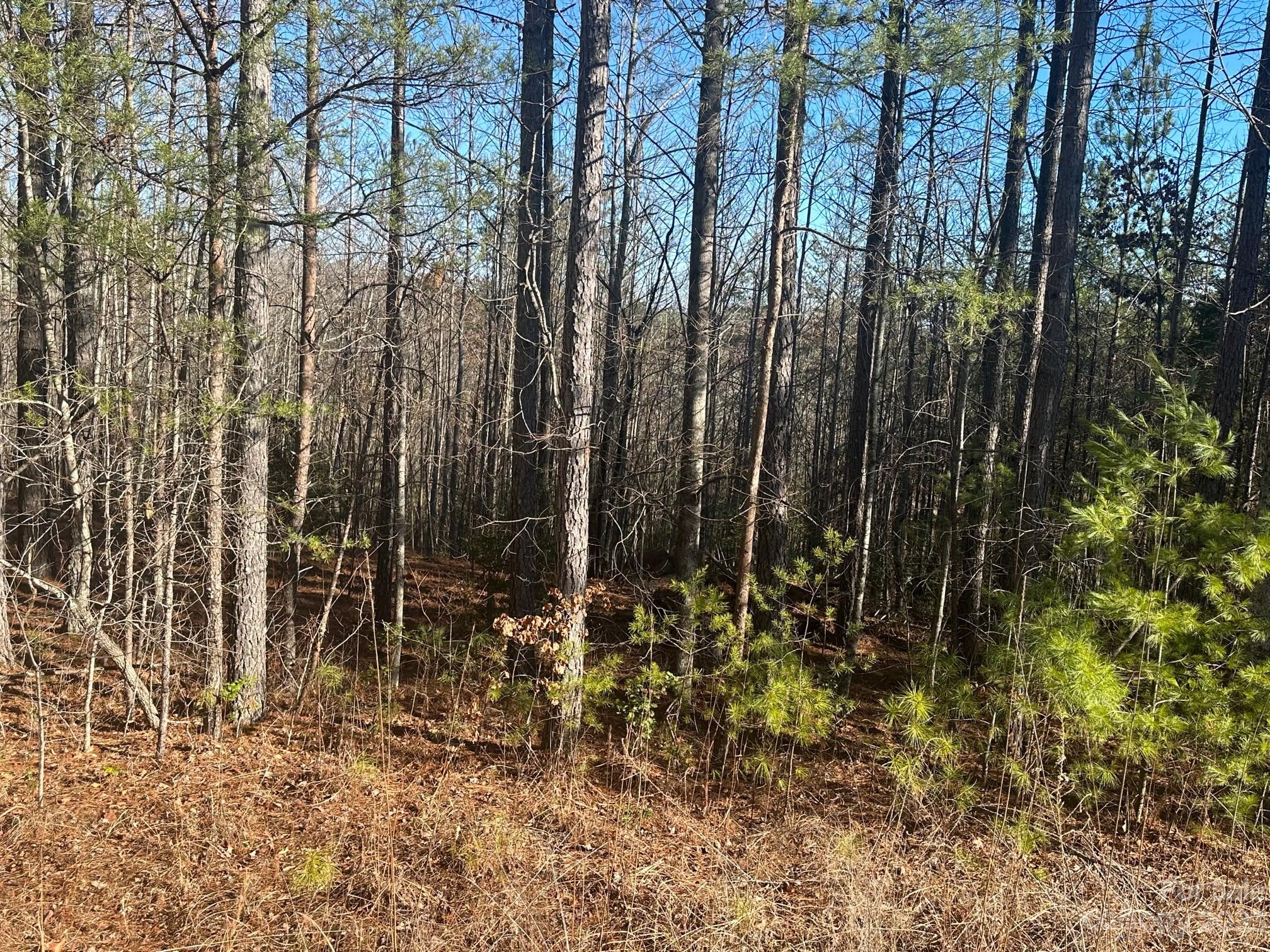 The Vineyards of Lake Lure - Land