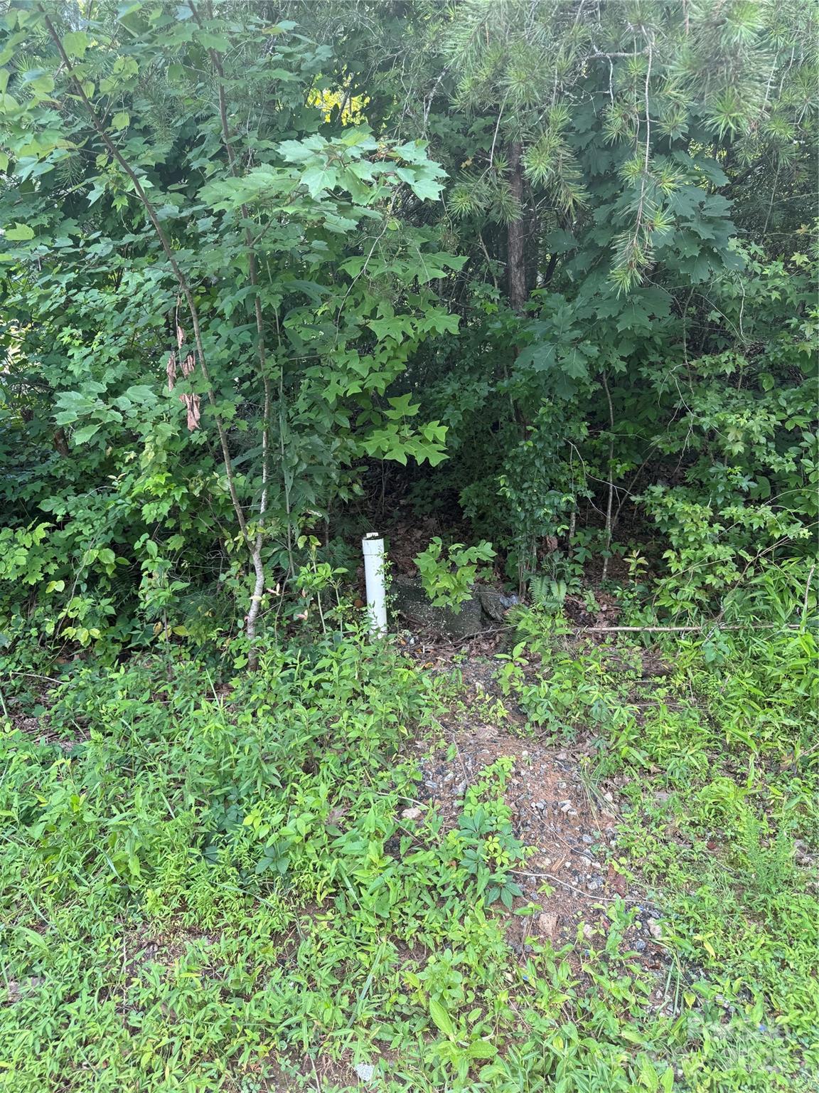 1047 Williamsburg Drive