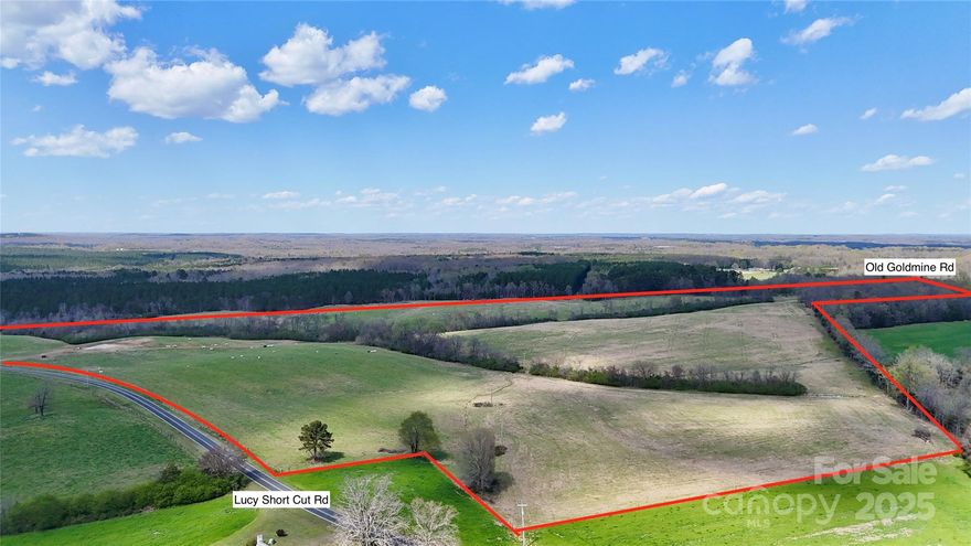 Rare opportunity to own 122  fenced cleared acres in Marshville, NC.  Multiple uses consisting of cattle farm (current use), private estate, small development or farming. Track has road frontage on both Lucy Short Cut Road and Old Goldmine Road. Located 27 minutes to 485/74 interchange and convenient to Marshville. Eagle Chase Golf course is a short 5 minute drive. Hurry!!!