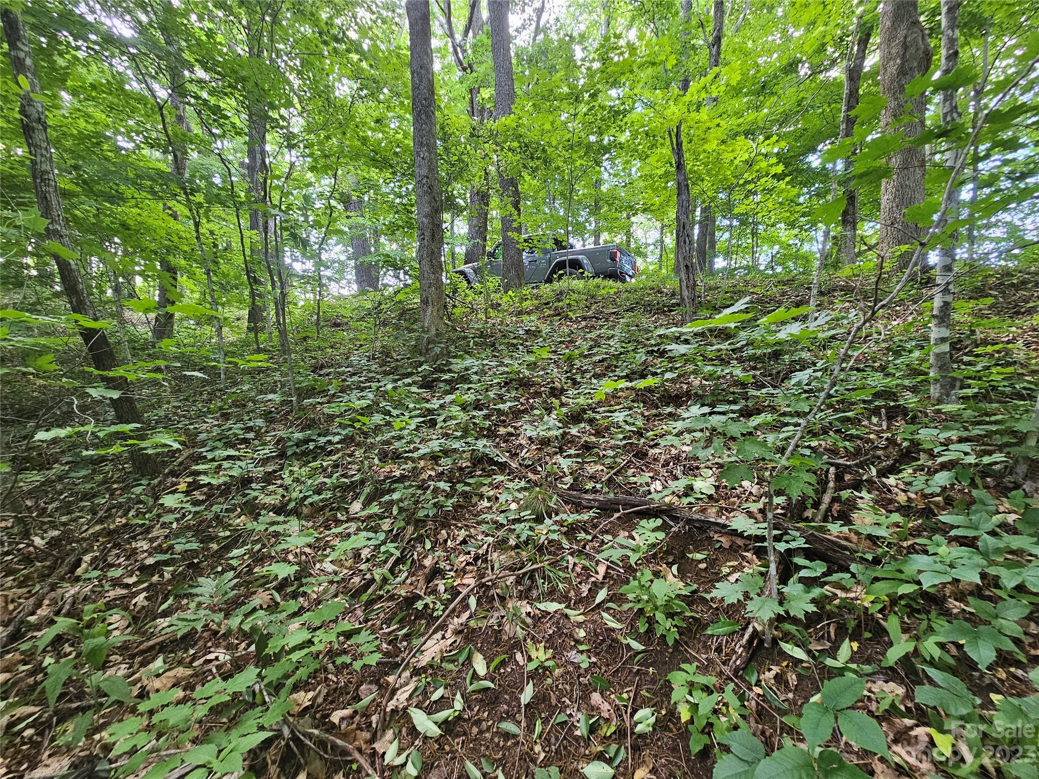 Spring Brook Farms - Land