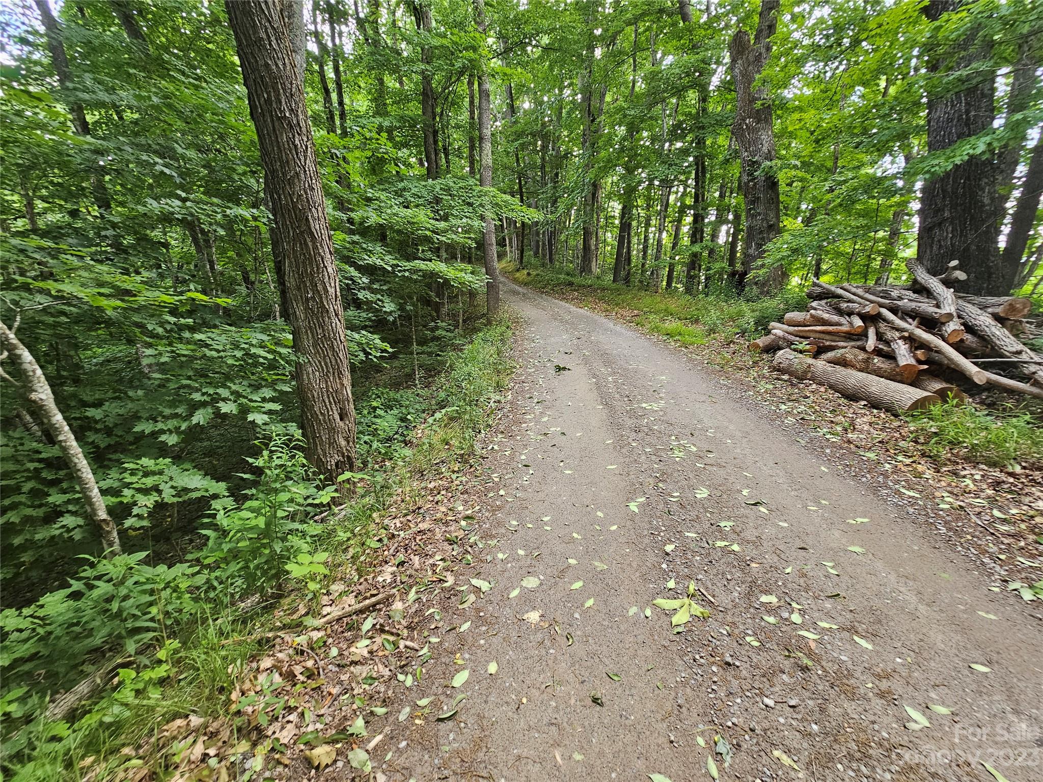 Spring Brook Farms - Land