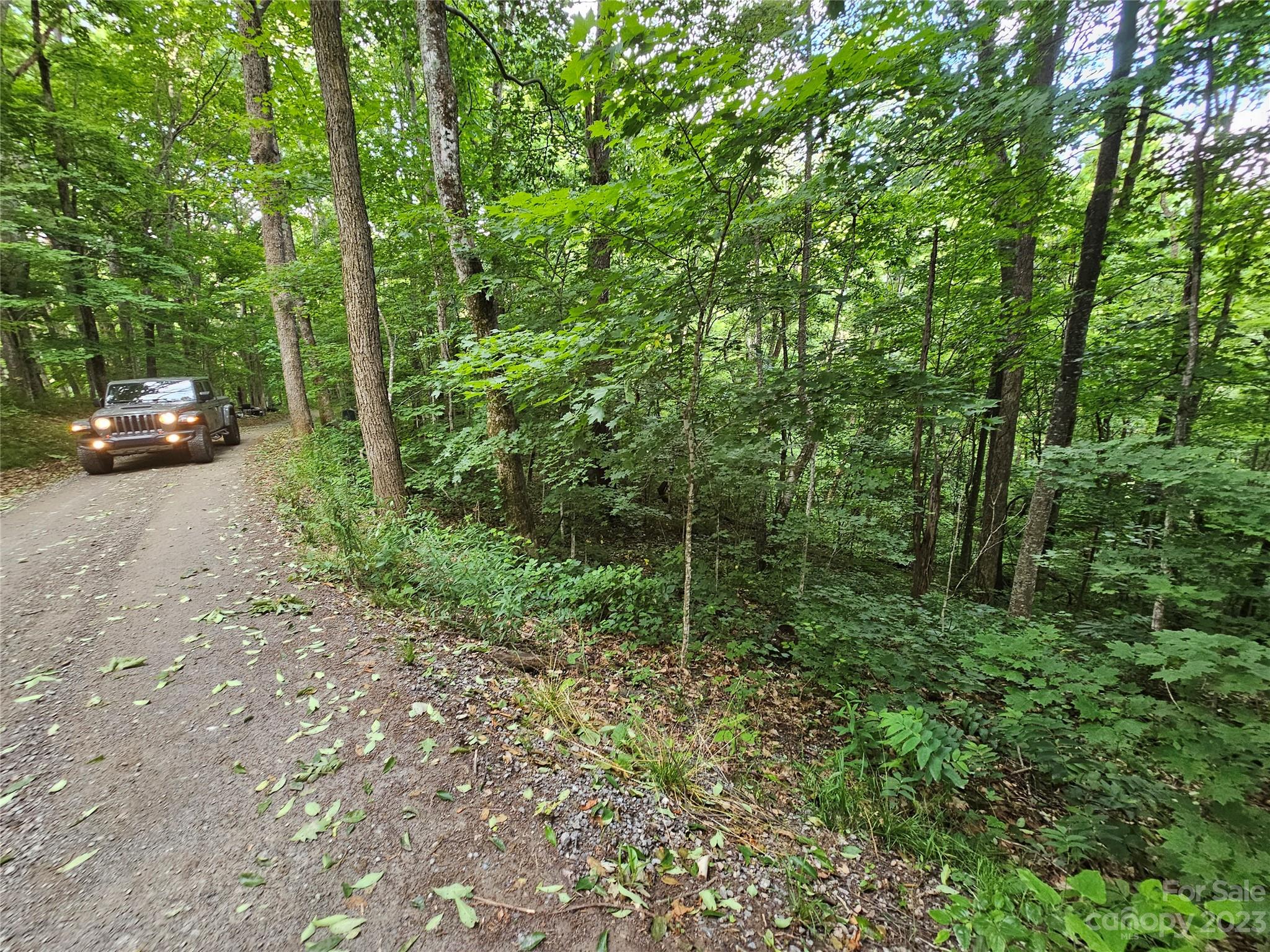 Spring Brook Farms - Land