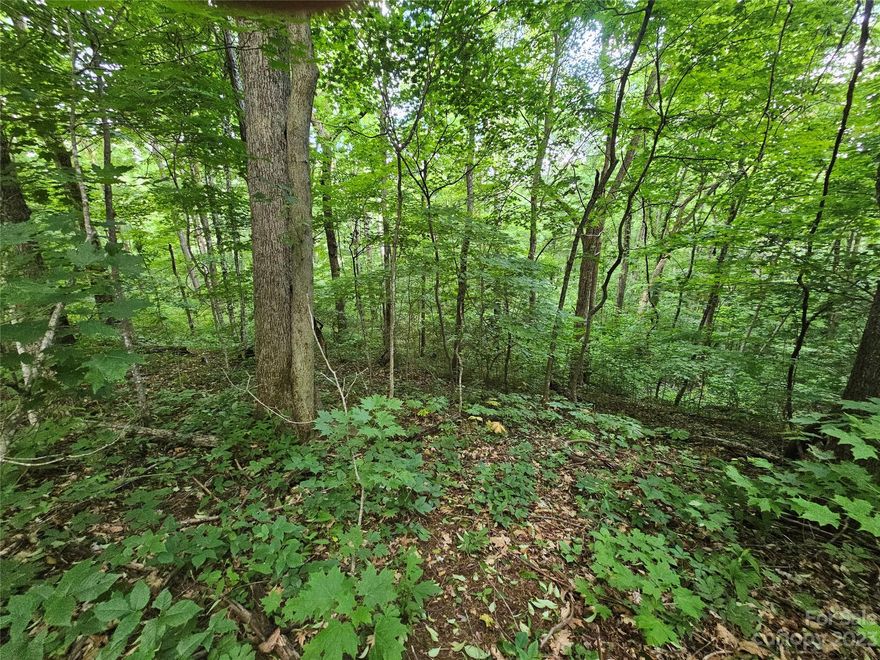 Experience the perfect blend of nature and convenience with this remarkable 2.43-acre home site just 10 minutes away from Waynesville. Situated at an elevation of close to 4000 feet, this property offers a nice view potential of the surrounding mountains. The sloping lot presents an opportunity to build a dream home with plenty of wooded privacy. With well and septic installation required, you have the freedom to design and customize your own water and waste systems. Embrace the serenity of the mountains while remaining within easy reach of Waynesville's amenities. This exceptional home site is poised to fulfill your vision of a tranquil mountain retreat. 1500 square foot minimum to build and no mobile homes are allowed.