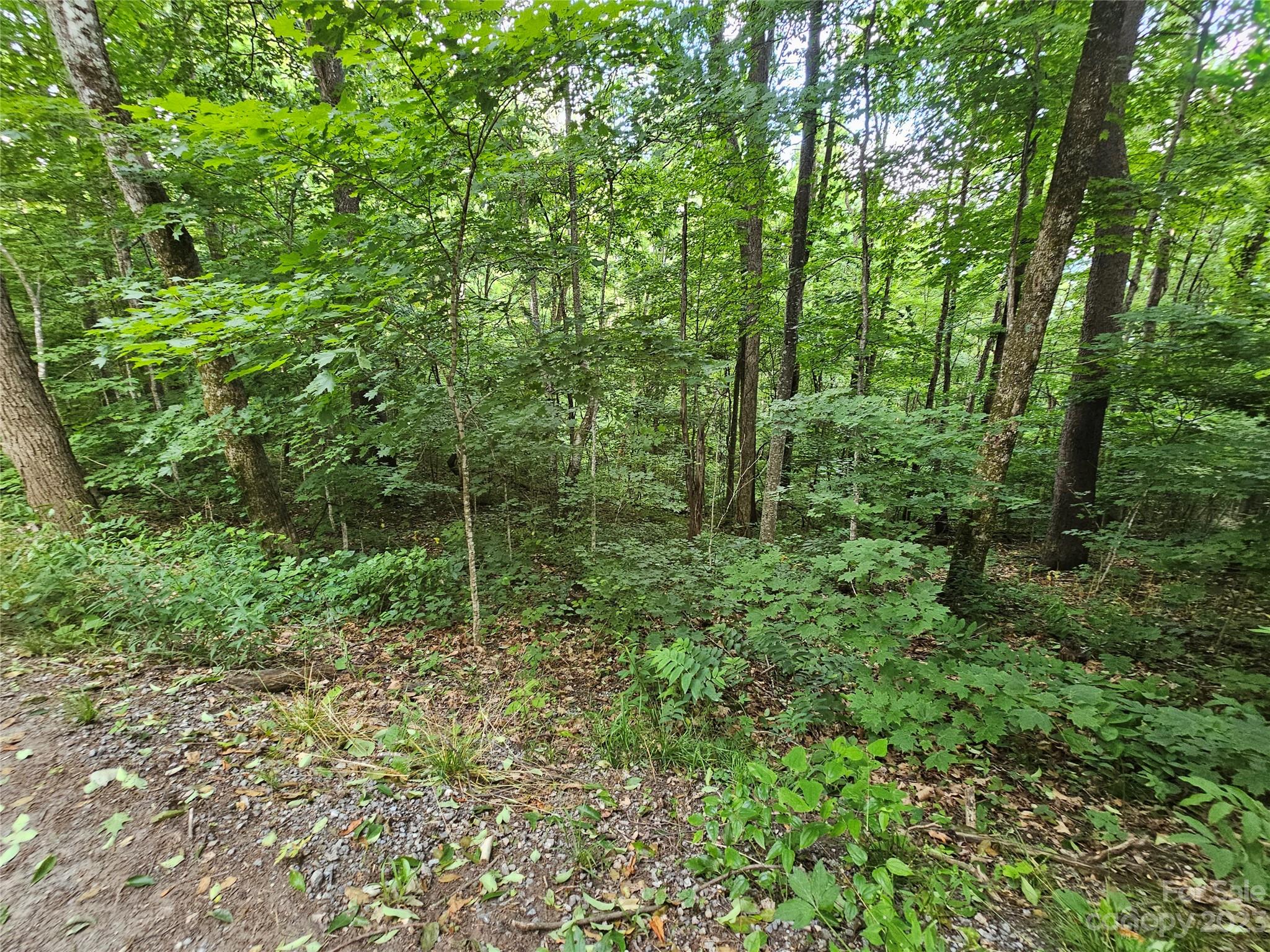 Spring Brook Farms - Land