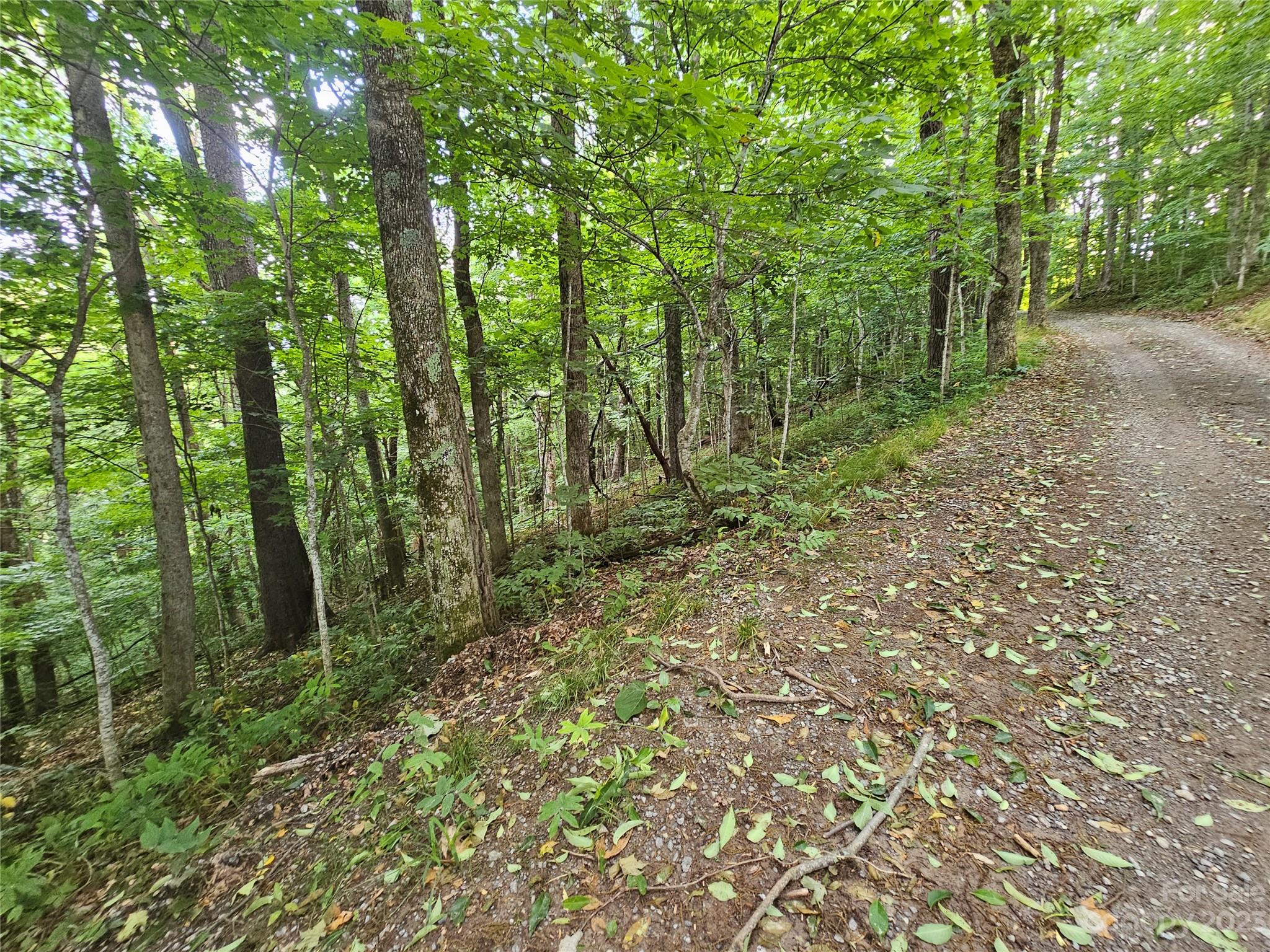 Spring Brook Farms - Land