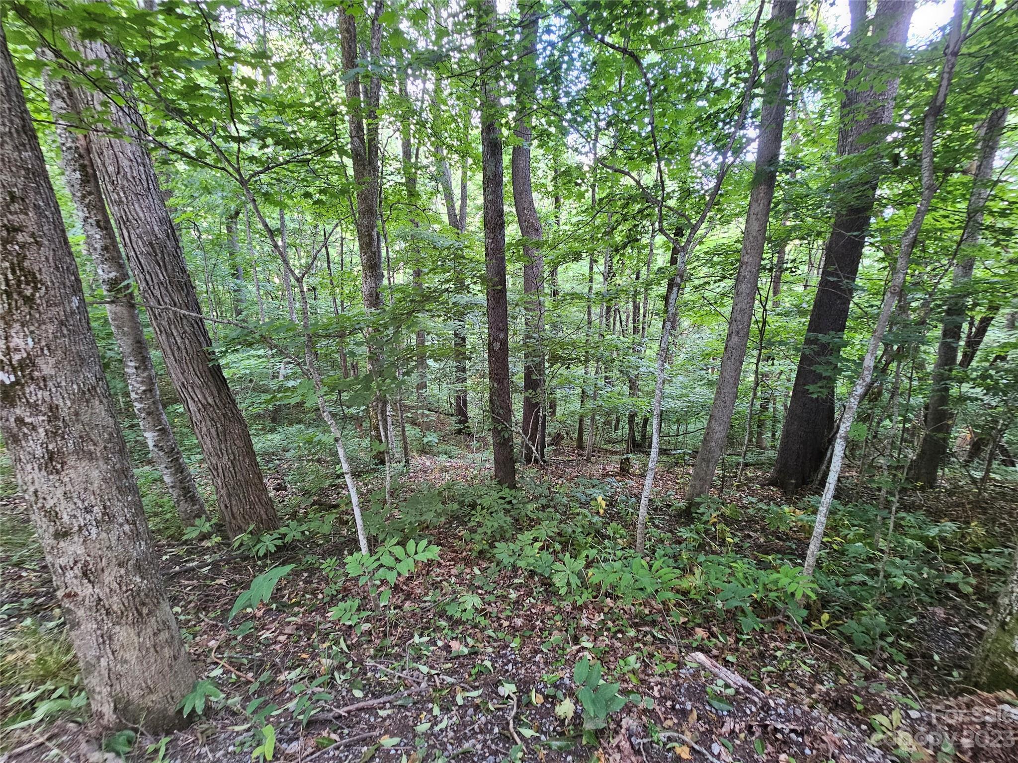 Spring Brook Farms - Land