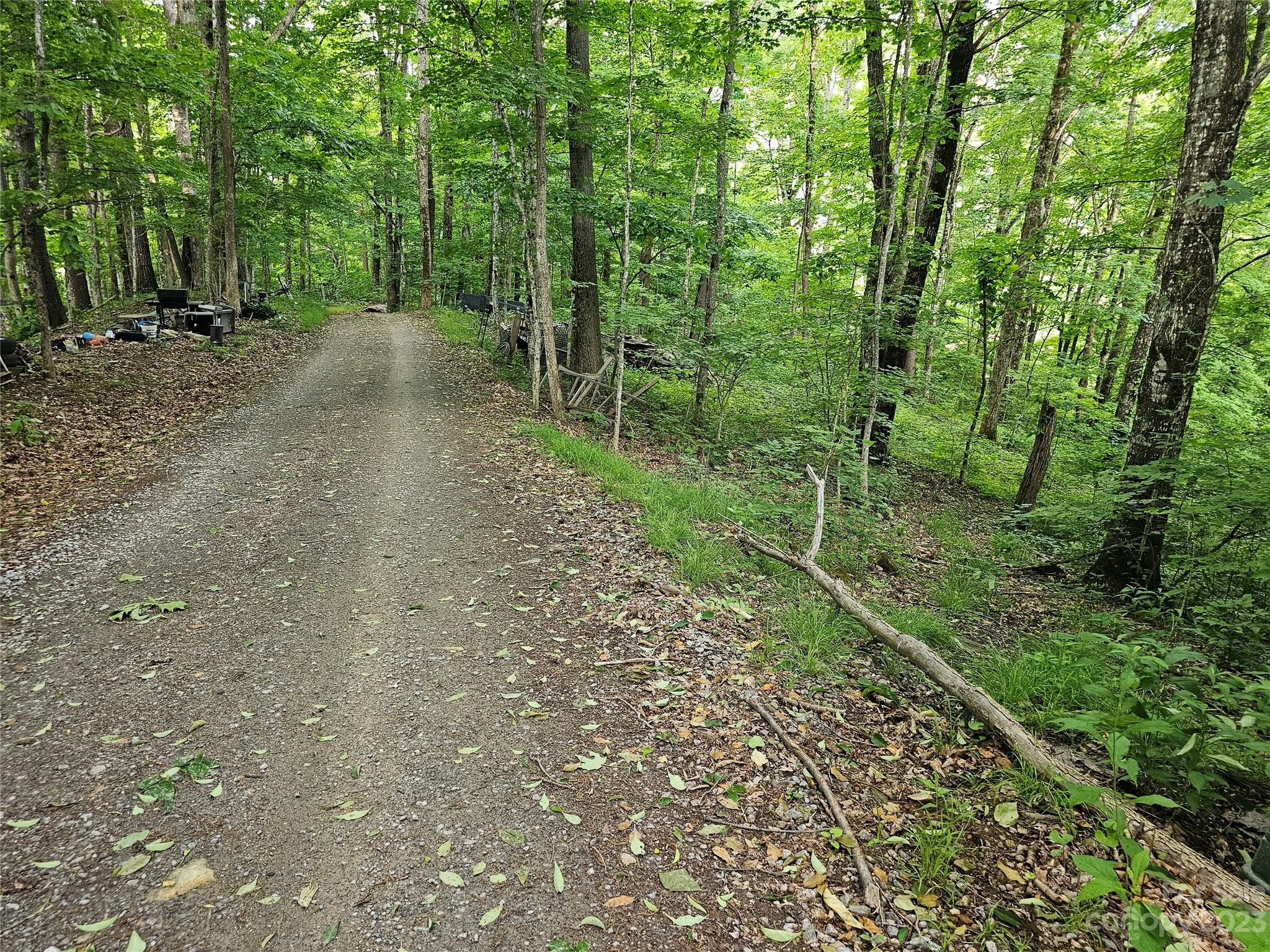 Spring Brook Farms - Land