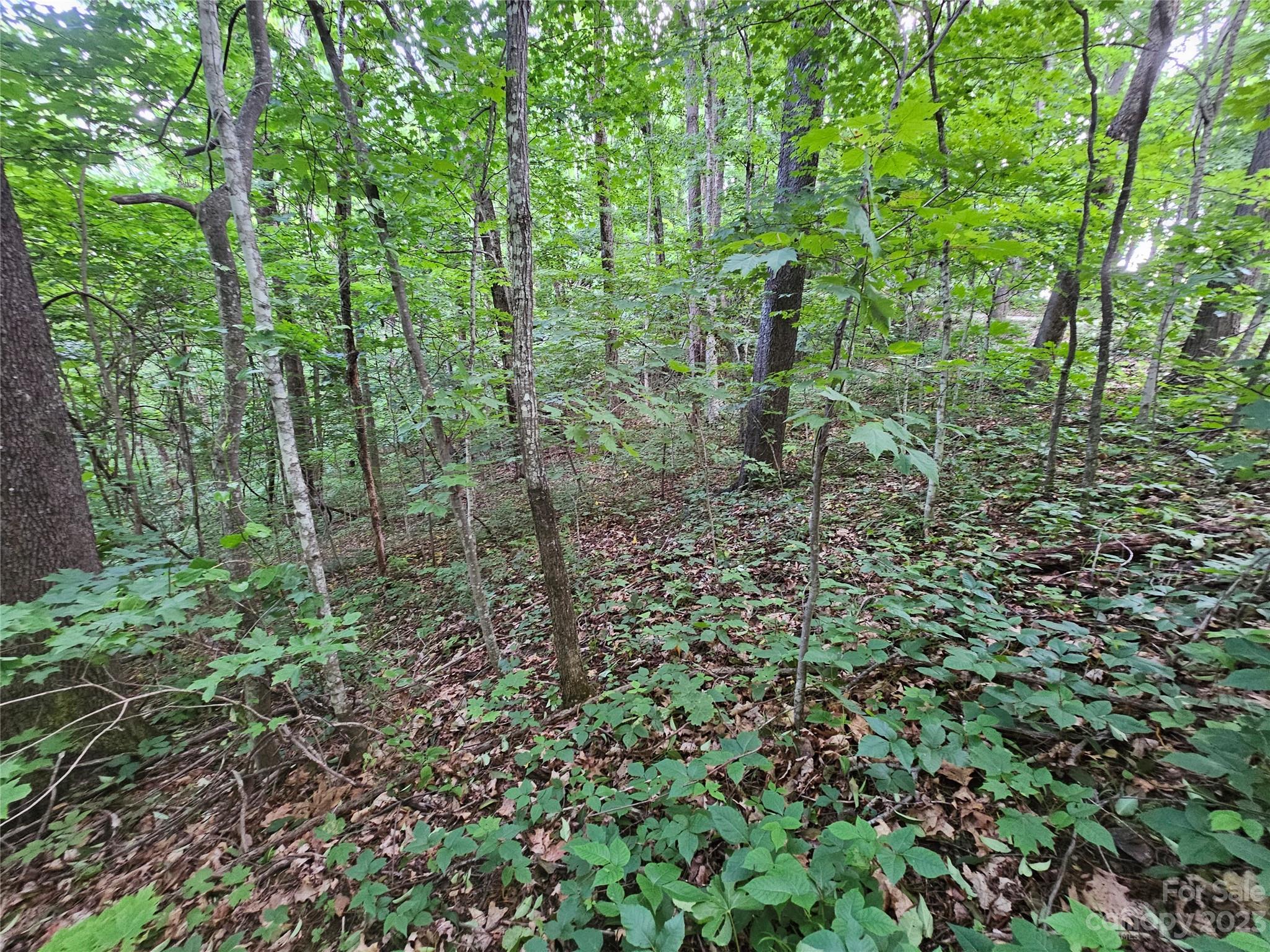 Spring Brook Farms - Land