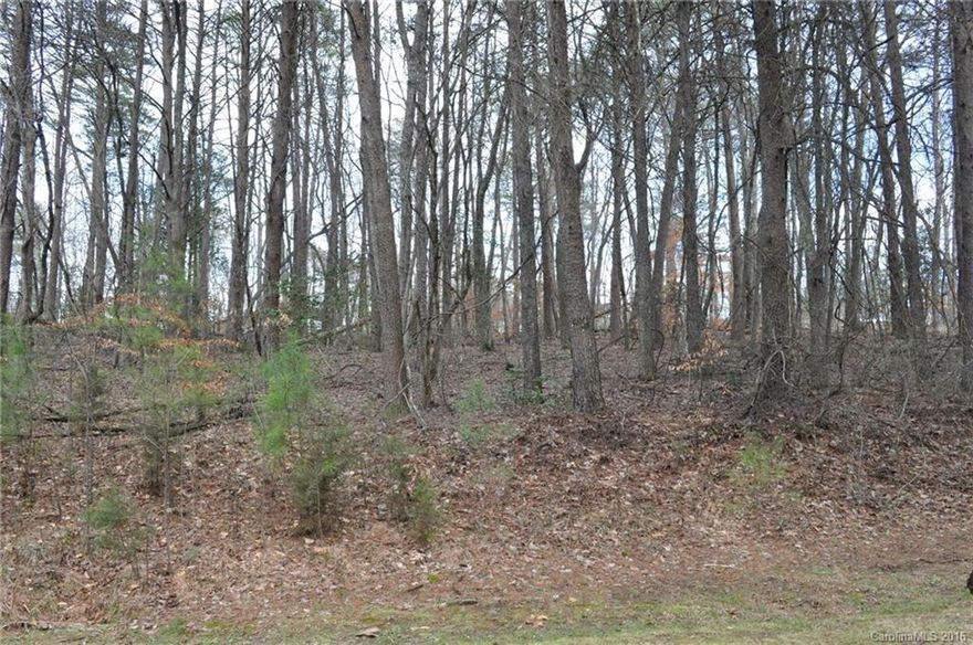 Wooded, level corner lot bordering on both a state maintained road as well as a private paved road with a year round mountain view in the summer months, but improved in the winter.  Very suitable for a residential home.  Minor restrictions require 1000 SF minimum for a dwelling, well and septic are required.  No mobile home allowed.  Rural location with little traffic, but only a short drive to town.