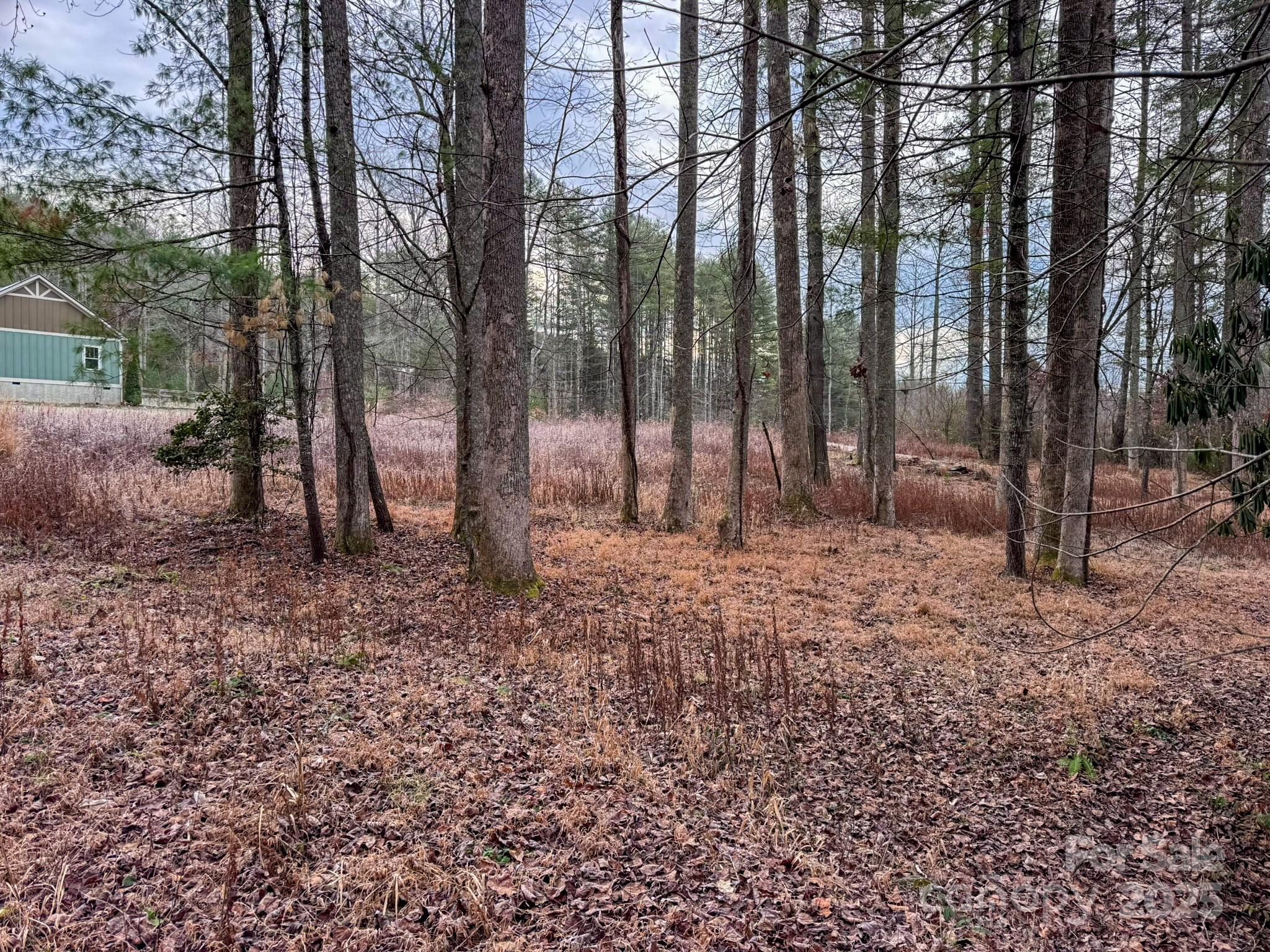 Crystal Creek - Land