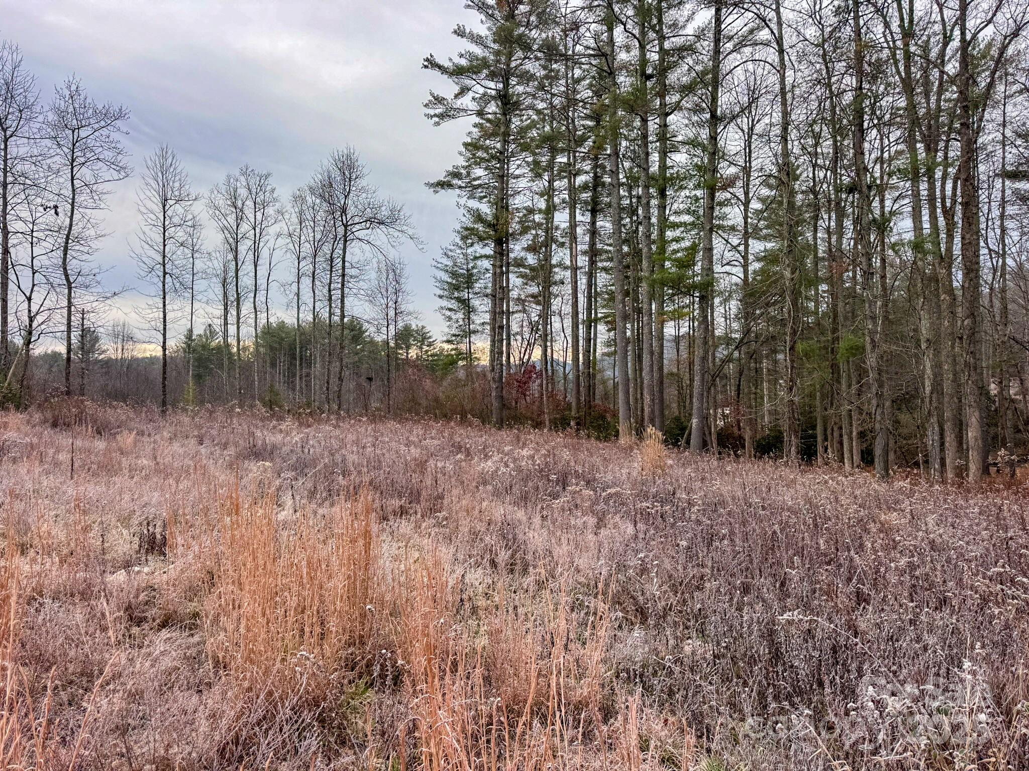 Crystal Creek - Land