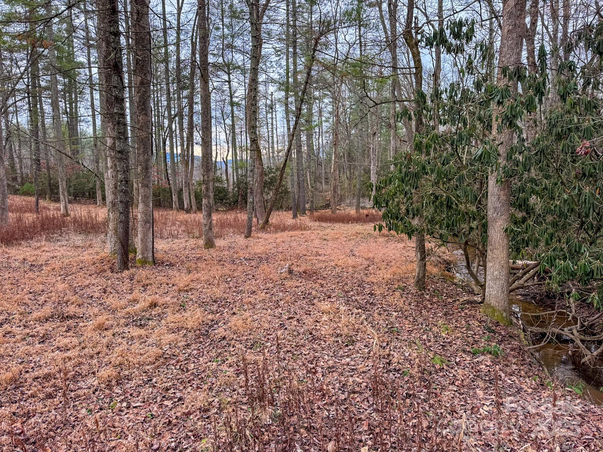 Crystal Creek - Land