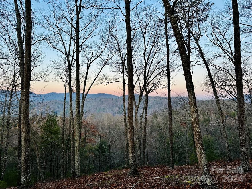 Stunning sunsets and mountain views await your dream home in the mountains of NC! With an easy build site, this peaceful location will enable you to witness stunning sunsets and take a deep breath! If you're looking to build your dream mountain home or vacation getaway, look no further. French Broad Crossing is a gated conservation community with easy access to Asheville and amenities galore! Enjoy the River Lodge, Fitness Center, Pool, River Park, and miles of walking/ATV trails! Relax and watch the sunset from your home or the River Lodge, gather with family and friends by the fire, or just absorb nature on the trails. This is THE place to check out of the daily hustle and bustle and take a deep breath! Fiber Optic cable has been wired throughout the community. FBC has a designated medical helicopter landing zone.
