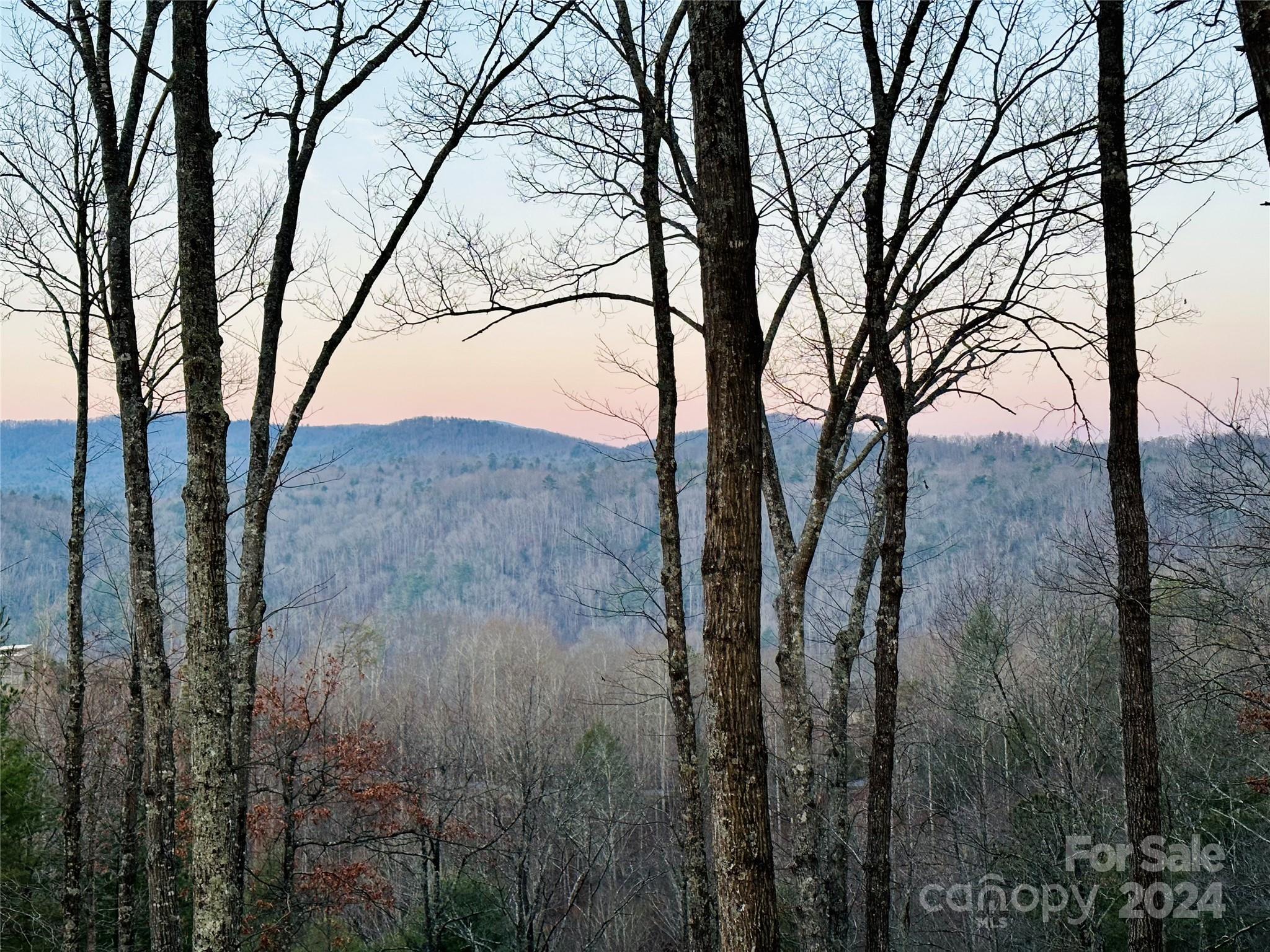 75 Raccoon Run 22