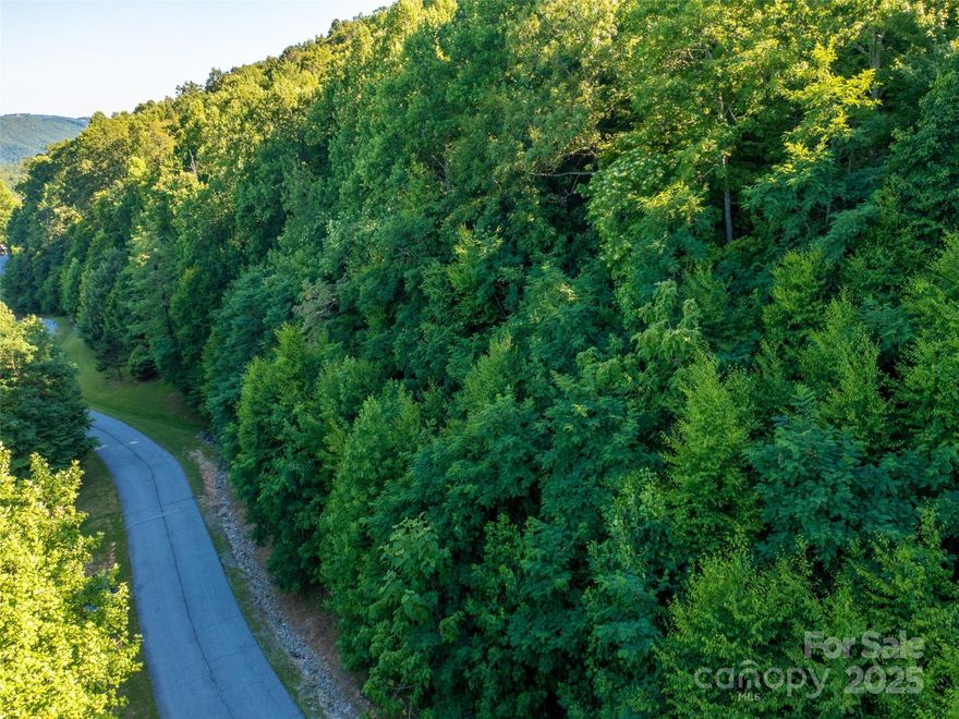 Beautiful mountain views from this 3.29 acre lot in the gated community of Grand Oaks. Neighborhood of upscale homes. Covenants are in place. Underground utilities, wide paved roads, community pond with gazebo, and walking trails.