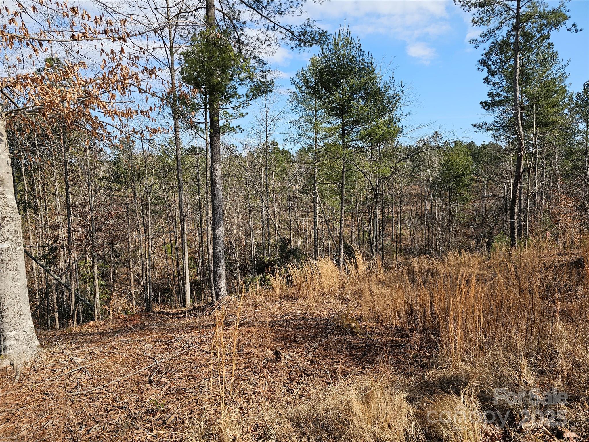 Lakeside Reserve - Land