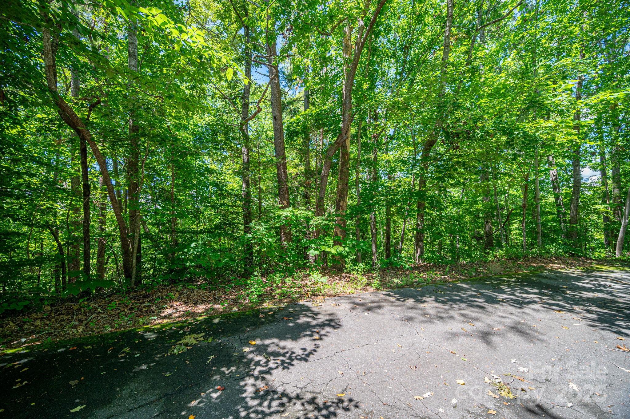 Lot 166 Plantation Drive