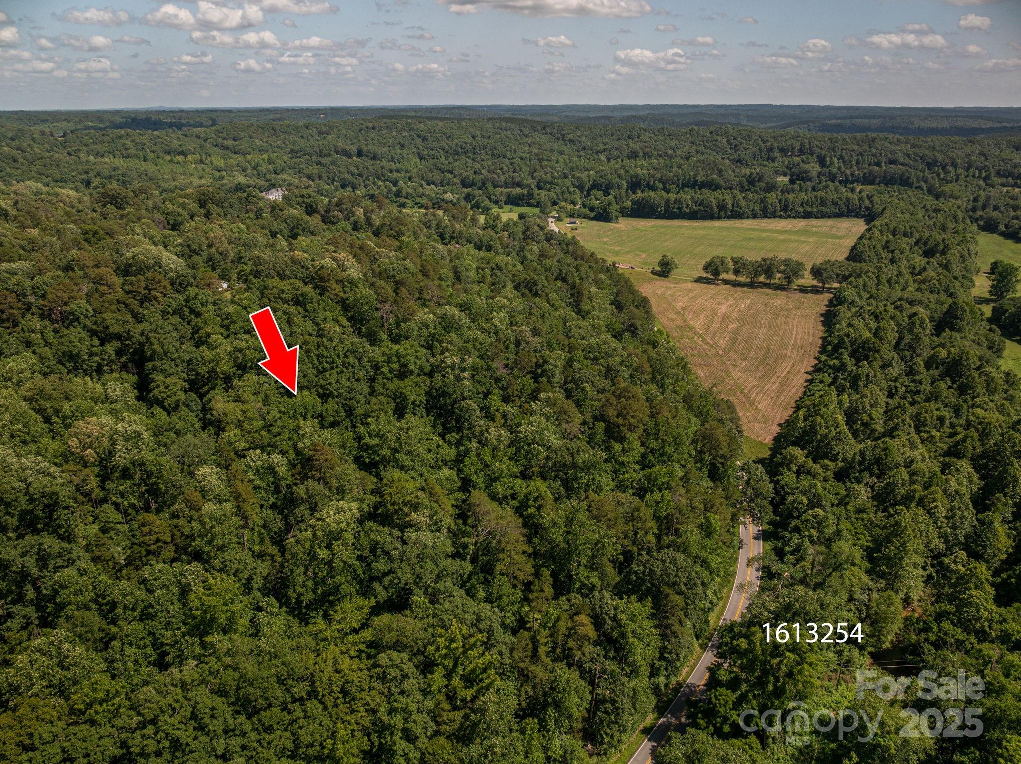 Cleghorn Plantation - Land