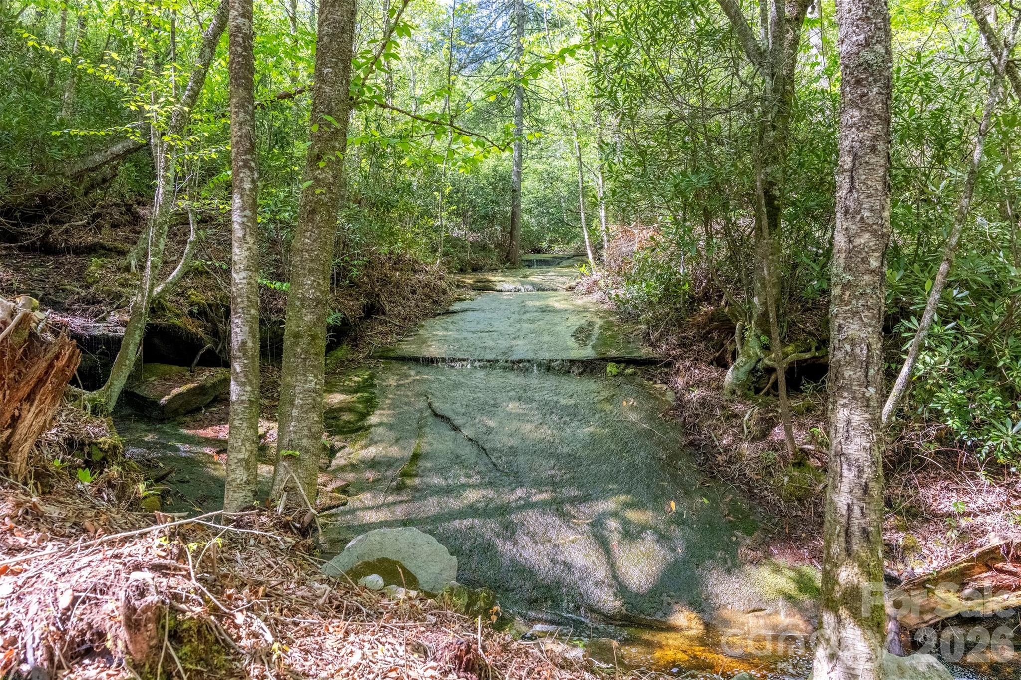 River Camp Long Ridge Road