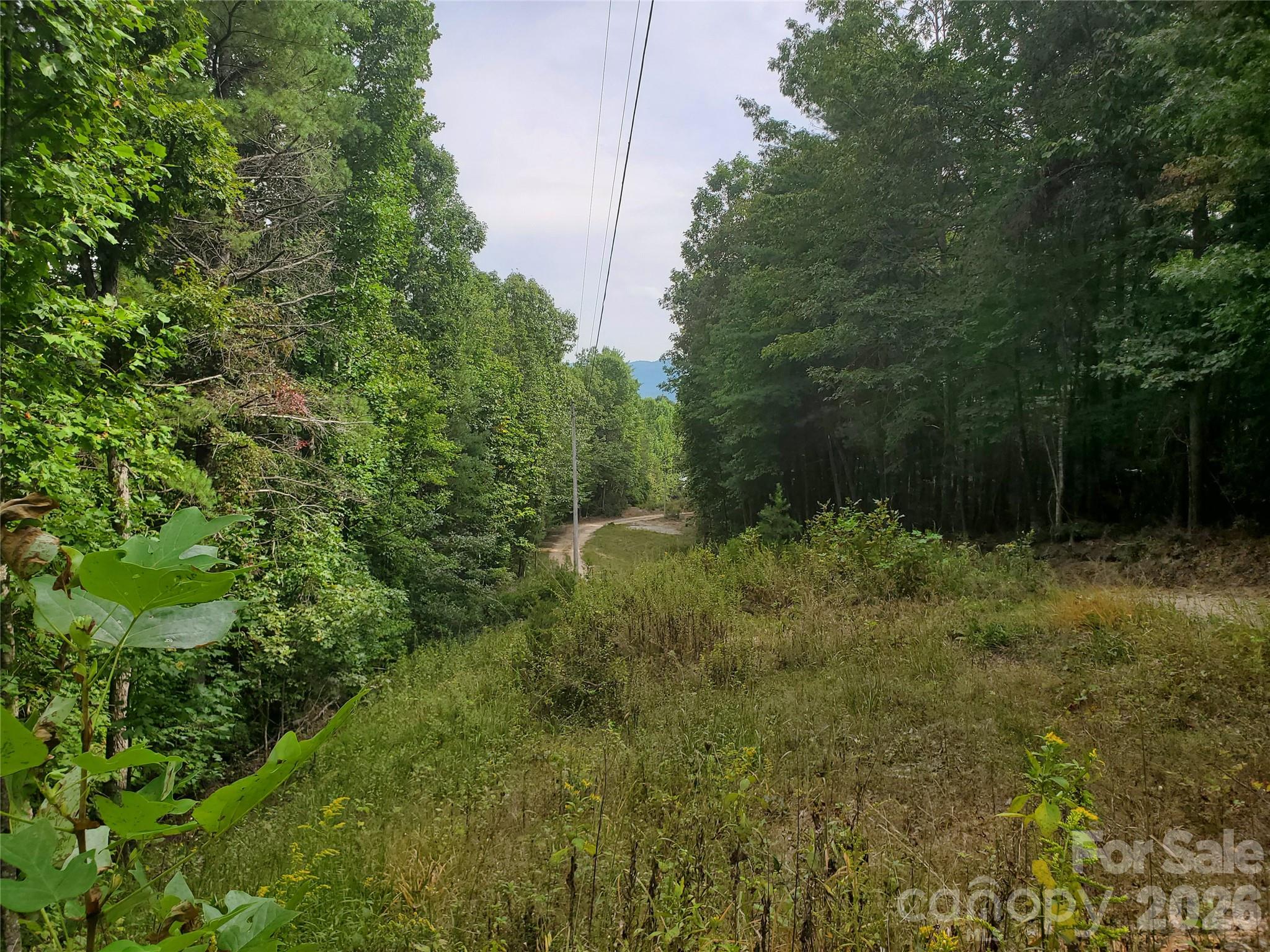 3024 Pearson Mountain Road, Boomer, NC, 28606
