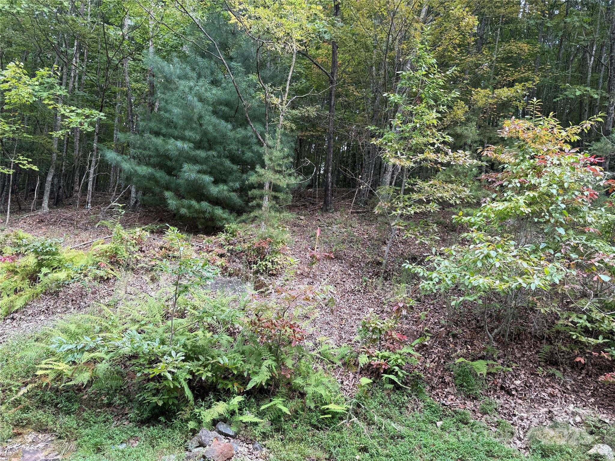 1029 Chippawa Drive 67