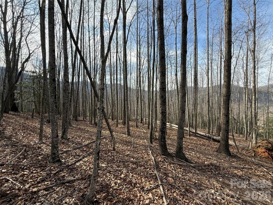 1029 CHIPPEWA DR # 67, ARDEN, NC 28704 - Image f0d0fae7003165a2012e97efe33795d0/232376790