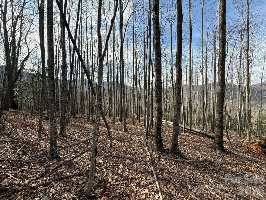 Residential lot located in Avery Park, a gated community with lots of amenities.  Lot lays between Chippawa and Standing Deer Trace, Amenities includes swimming pool, tennis courts, playground, clubhouse, pond.    When present owner purchased there was a view of the Blue Ridge Parkway - please walk property to determine the view now available.  When present owners purchased they obtained a septic permit for 4.bedrooms but that permit has expired and new buyer will need to investigate and order new septic permit.