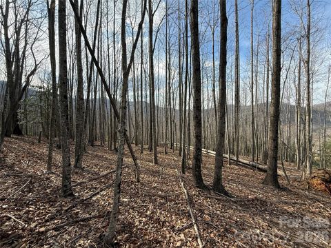 1029 Chippawa Drive 67 Arden NC 28704