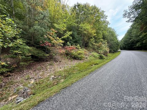 1029 Chippawa Drive 67 Arden NC 28704