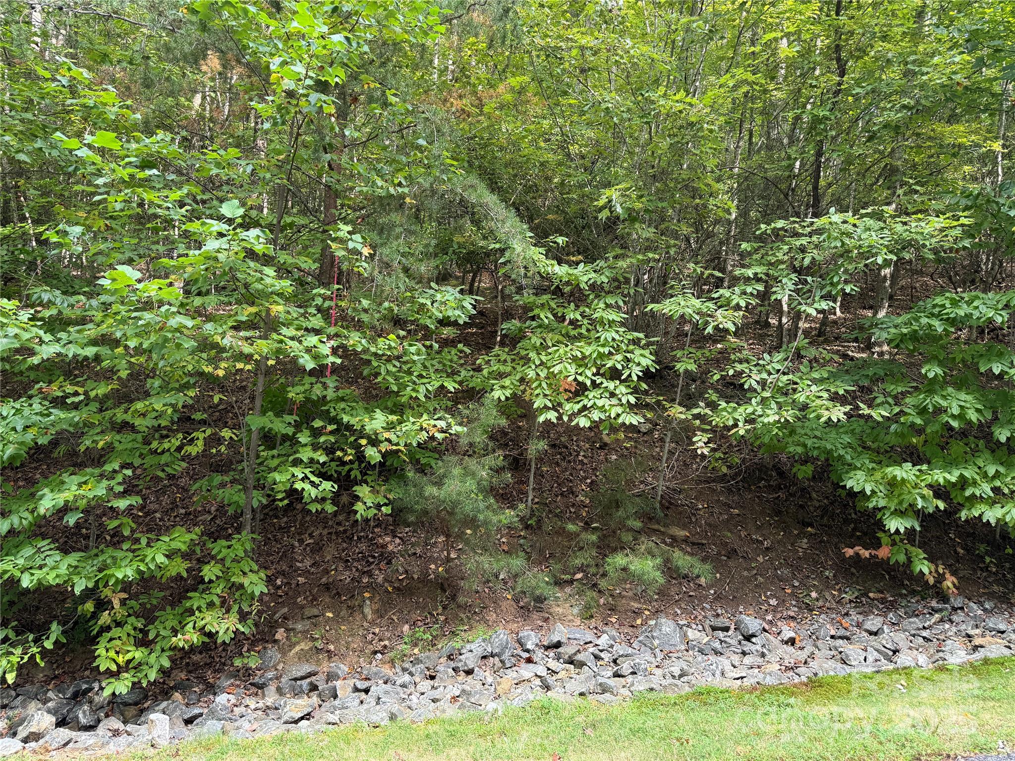 1029 Chippawa Drive 67