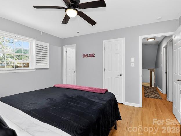 Windsor Park - Residential