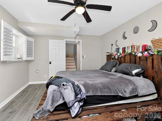 Windsor Park - Residential