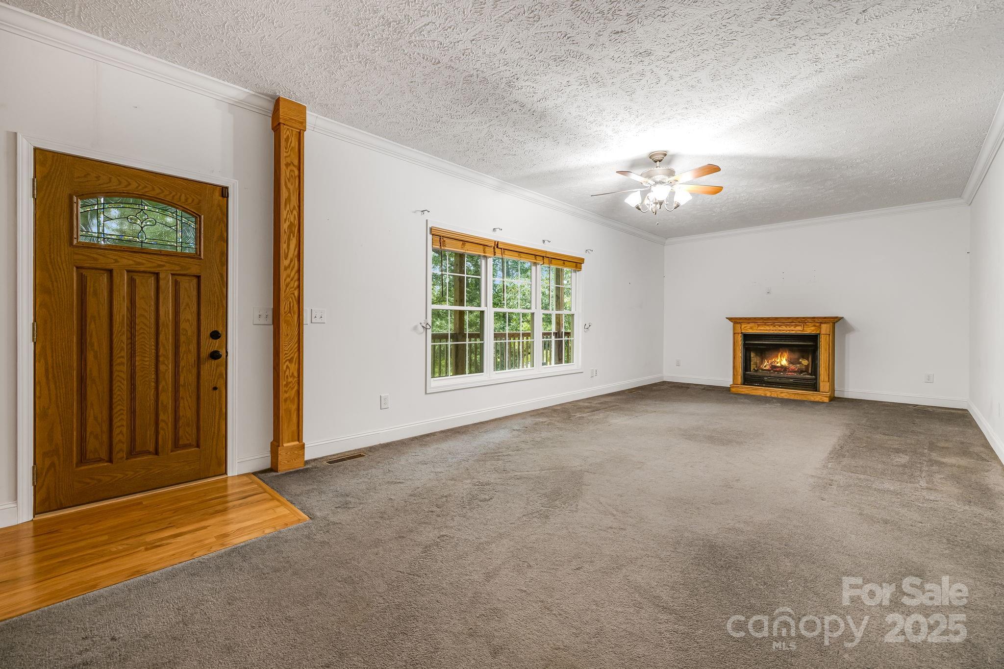 163 Terrace Field Trail